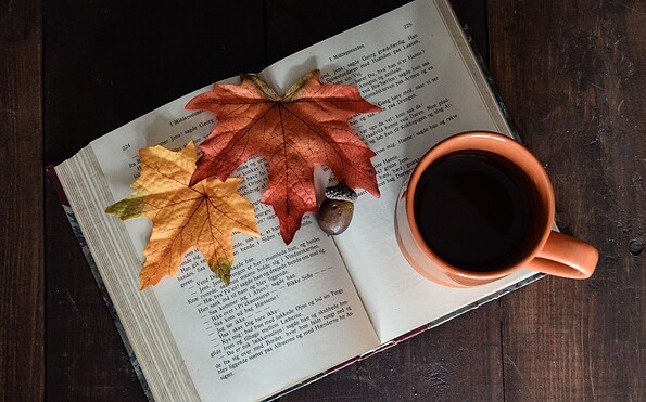 Foto: Deborah Hudson , Lizenz: Pixabay