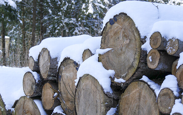 winter, Foto: Catharina Weisser, Lizenz: Tourismusverband Fläming e.V.