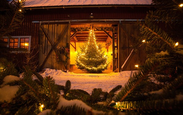 Symbolbild, Foto: KI @ Reve, Lizenz: Reve