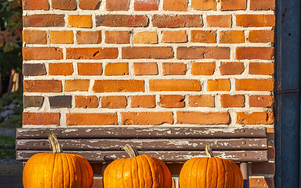 Kürbisse vorm Hof, Foto: Oliver Gerhard, Lizenz: Tourismusverband Fläming e.V.