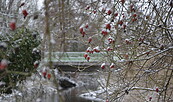 Winter an der Neiße, Foto: Linda Geilich, Lizenz: Mut - Marketing und Tourismus e.V. Guben
