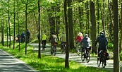 Entwicklung Rad- und Wanderwege, Foto: Andrea Bock, Lizenz: Regionalpark Barnimer Feldmark e. v.