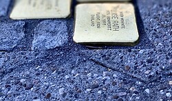 Kommt mit uns Stolpersteine putzen