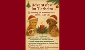 Adventsfest im Tierheim Flyer, Foto: Schwedter Tierschützer - Hilfe für Tiere in Not  e. V., Lizenz: Schwedter Tierschützer - Hilfe für Tiere in Not  e. V.