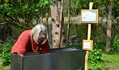 Armbad im Kneipp-Erlebnisgarten Drei Eichen, Foto: Josephin vom Schloss, Lizenz: Drei Eichen
