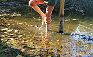 Kneipp-Wassertreten im Kneipp-Erlebnisgarten Drei Eichen, Foto: Josephin vom Schloss, Lizenz: Drei Eichen