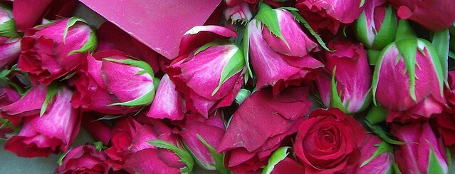 Teilnehmer stehen am Anmeldecounter