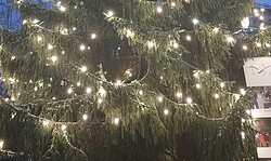 27. SALONABEND – Stiefelglanz & Sternenzauber