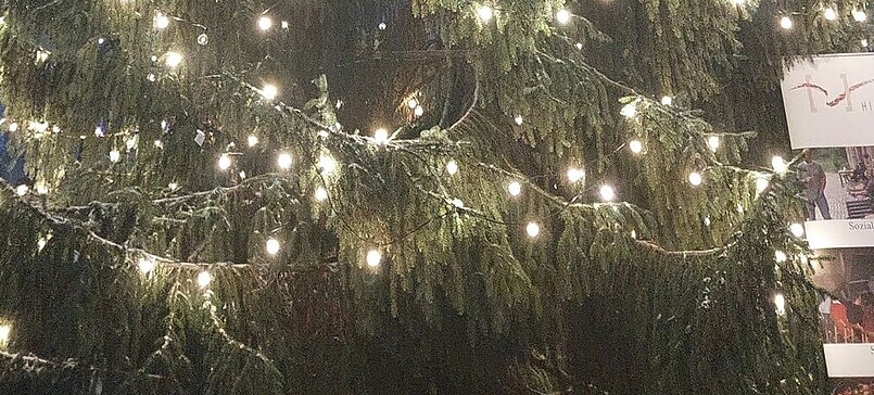 27. SALONABEND – Stiefelglanz & Sternenzauber