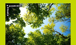 Unter Bäumen kannst du träumen