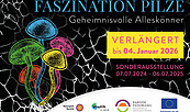 Faszination Pilze, Foto: Jeannine Schneider, Lizenz: Barnim Panorama