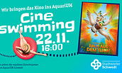 CineSwimming 2025, Foto: Stadtwerke Schwedt