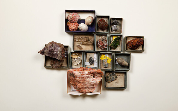 Gesteinssammlung der Gräfin von Kielmannsegge, Foto: Katrin Kamrau, Lizenz: Stadt Lübben