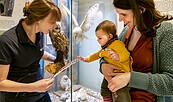 Mutter und Kind betrachten Feder und Kauz, Foto: David Marschalsky, Lizenz: Naturkundemuseum Potsdam