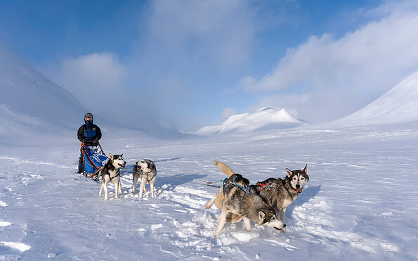 Huskytour auf dem Kungsleden, Foto: Steffen Mender