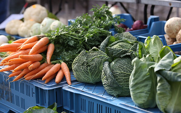 Templiner Wochenmarkt, Foto: TMT GmbH, Lizenz: TMT GmbH