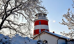 SATAMAs Nikolausnacht