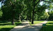 Stadtpark, Foto: Antje Lang