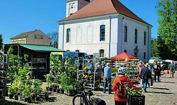 Altlandsberger Frischemarkt