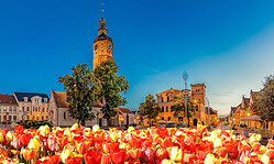 Auftaktveranstaltung "750 Jahre Luckau"