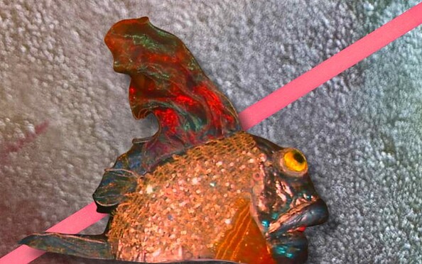 Vom Fischer und seiner Frau, Foto:  BT