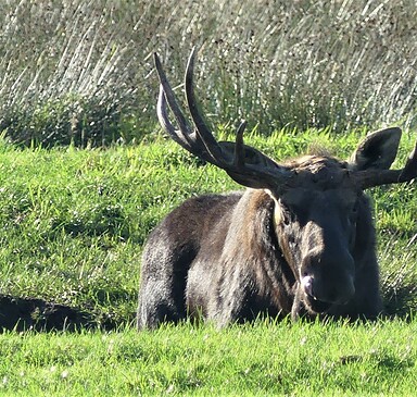 Naturparkgespräche – Wie geht es Bert?