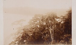 Schwarzes Gold – Kaffee und ein Schuss Geschichte