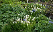 Der Frühlingsgarten Christianenhof, Foto: Regina Klaus