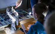 Nachts im Museum auf der Pirsch - hier mit Waldkauz , Foto: D. Marschalsky, Lizenz: Naturkundemuseum Potsdam