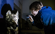 Hallo Wolf - nachts im Museum mit der Taschenlampe, Foto: D. Marschalsky, Lizenz: Naturkundemuseum Potsdam