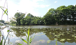 RangerTour: Vom kleinen Fluss an den großen Strom