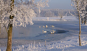 Winter, Foto: CorporateArt, Lizenz: Tourismusverband Prignitz