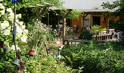 Offene Gärten Uckermark: Exotik-Kunst-Garten Jens Nagel Retzow