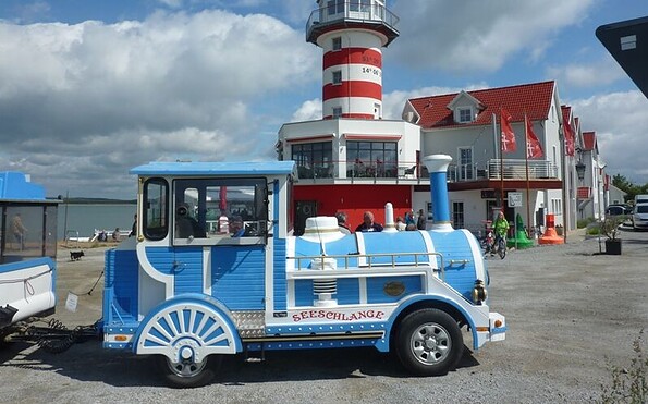 Seeschlange vorm Leuchtturm, Foto: iba-aktiv-tours