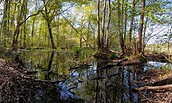 Byhleguhrer See, Foto: Anton Lehnig, Lizenz: NaturSchutzFonds Brandenburg