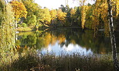 Herbst am Karpfenteich, Foto: Ute Bernhardt, Lizenz: Ute Bernhardt