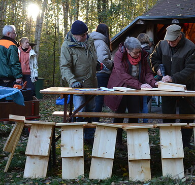 Hilfe für Wildtiere: Fledermauskasten-Bau