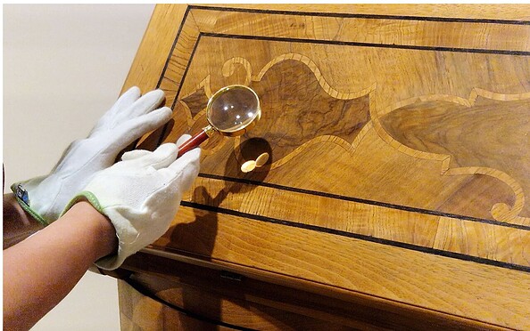 Führung Unter der Lupe , Foto: Potsdam Museum, Lizenz: Potsdam Museum