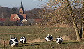 Kunstwanderweg mit Blick auf Wiesenburg, Foto: Steffen Bohl, Lizenz: Steffen Bohl
