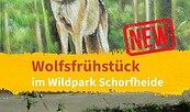 Wolfsfrühstück, Foto: Wildpark Schorfheide, Lizenz: Wildpark Schorfheide