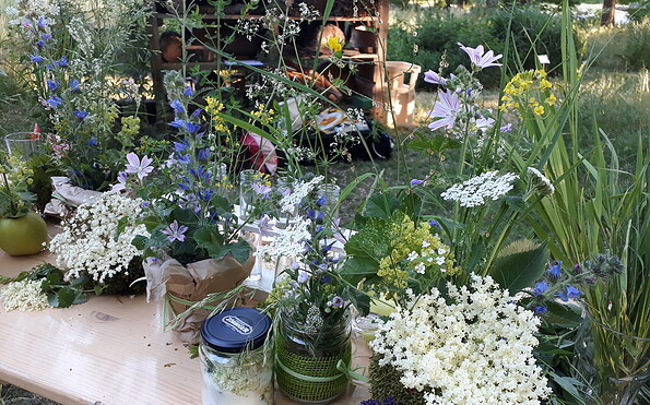 Kräuter im Garten, Foto: AC Burg Storkow , Lizenz: AC Burg Storkow