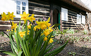 Ostern im Freilandmuseum Lehde, Foto: Linke, Lizenz: Museum OSL