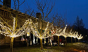 Potsdamer WEINnacht auf dem Königlichen Weinberg , Foto: Mosaik-Berlin gGmbH, Lizenz: Mosaik-Berlin gGmbH