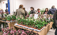 Gartenträume in der Messe Cottbus, Foto: Gartenträume B.V., Lizenz: Gartenträume B.V.