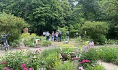 Zu Besuch im Lehmann-Garten, Foto: Alena Lampe