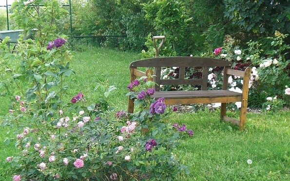 Garten von Katrin Lübcke, Foto: Katrin Lübcke