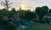 Garten von Susann Rogge, Foto: Susann Rogge
