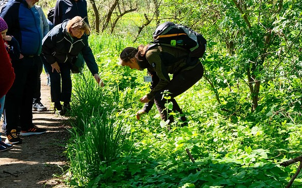 Führung, Foto: Bernd Müller, Lizenz: NaturFreunde Oberbarnim e.V.