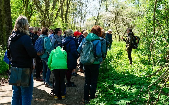 Oder an der Europabrücke, Foto: Bernd Müller, Lizenz: NaturFreunde Oberbarnim e.V.