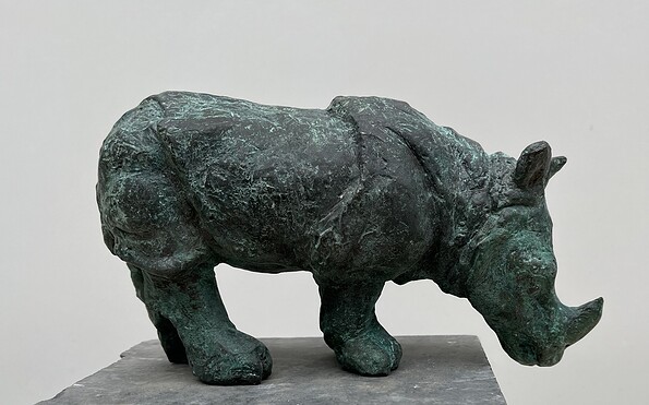 Panzernashorn, Foto: Anne Schulz